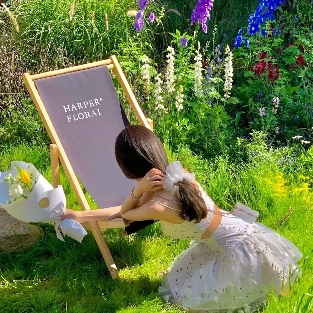 被赶出王府后，我成了最强锦衣卫